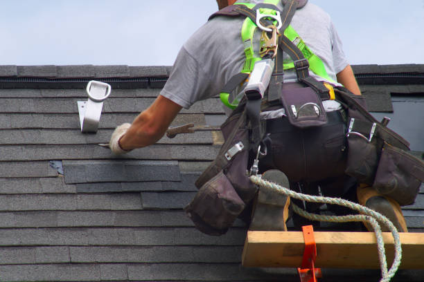 Best Roof Repair Specialists  in Stevensville, MI