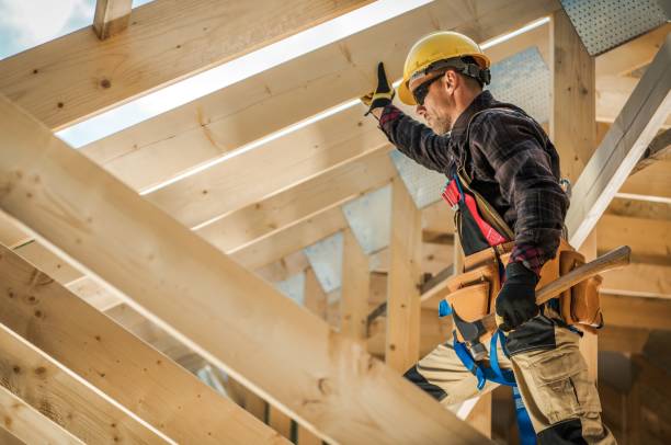 Best Roof Gutter Cleaning  in Stevensville, MI