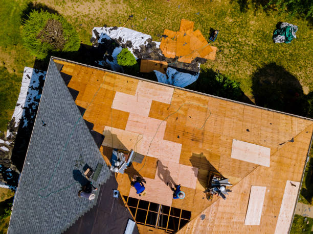 Best Roof Maintenance Services  in Stevensville, MI