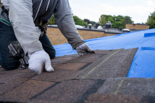 Best Local Roofing Companies  in Stevensville, MI