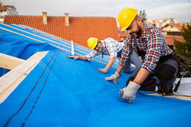 Best Gutter Installation and Roofing  in Stevensville, MI
