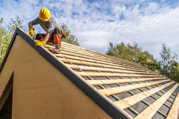 Best Storm Damage Roof Repair  in Stevensville, MI