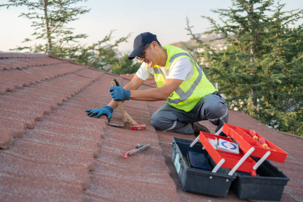 Roof Waterproofing Services in Stevensville, MI