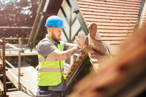 Best Residential Roofing Contractor  in Stevensville, MI