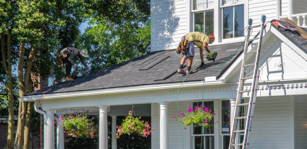 Best Roof Restoration Services  in Stevensville, MI